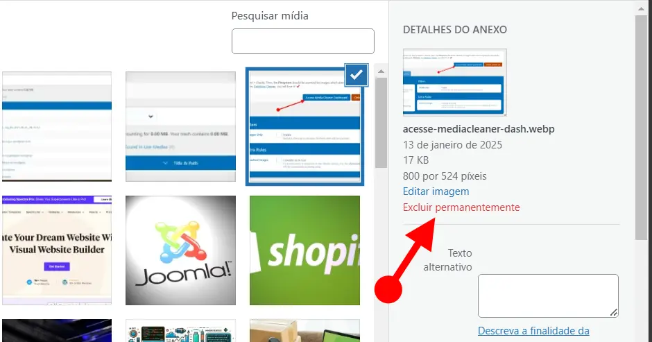 Excluir as imagens do WP ao Adicionar Mídia