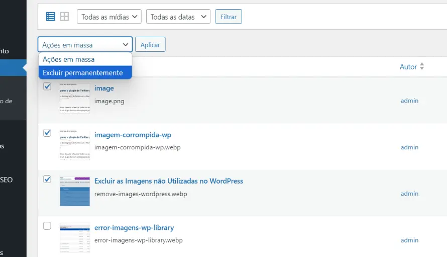 Excluir Manualmente Mídias da Biblioteca do WordPress