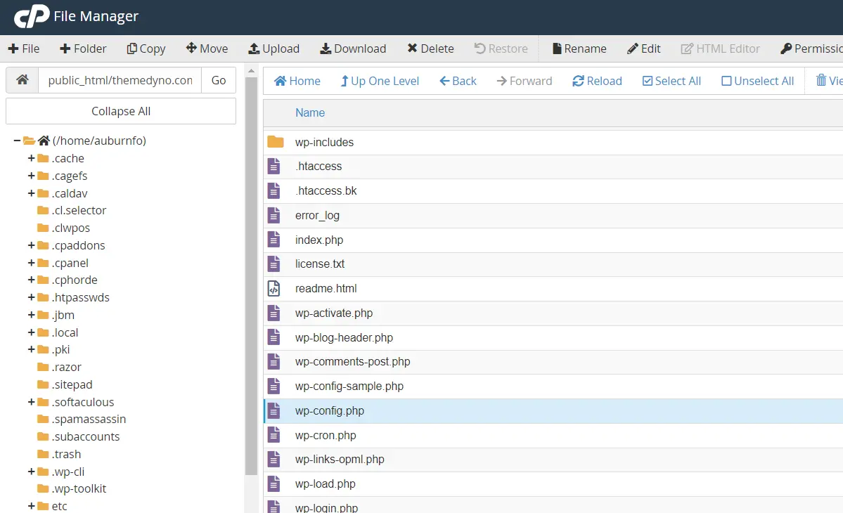 Desabilite o WP-Cron em PHP Config
