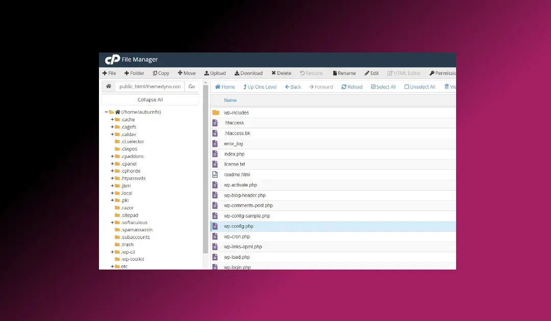 WP-Cron Job: Crie uma Tarefa Cron no cPanel