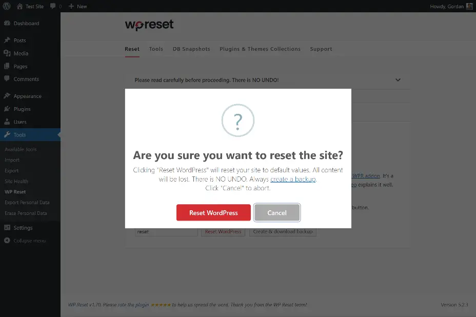 WP-reset aba Ferramentas